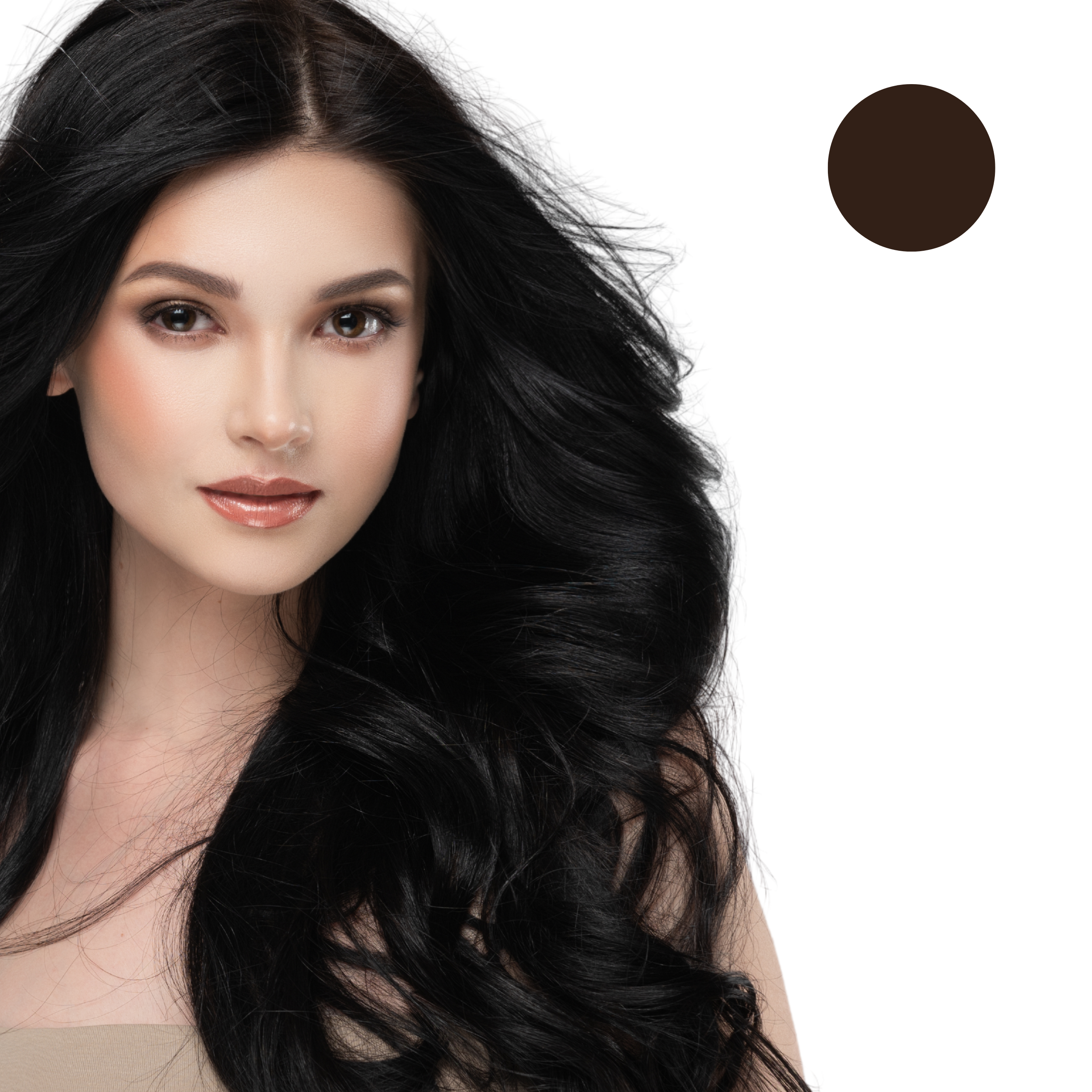 BLACKISH BROWN